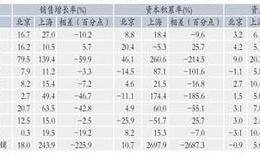 资本积累率的指标解析