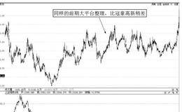 金证股份（600446）2013年牛股捕捉案例