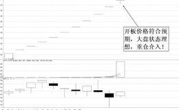 节能风电（601016）2014年下半年买入案例