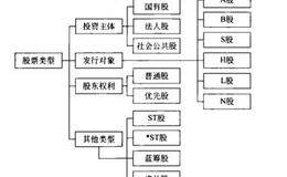 按投资主体分股票的类型