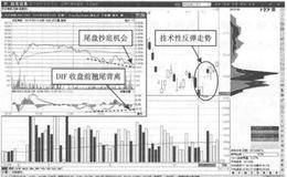 尾盘背离买点的解析