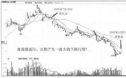 安农捉“黑马”的五大绝技是什么？