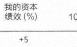 资本绩效——2001年，+5%