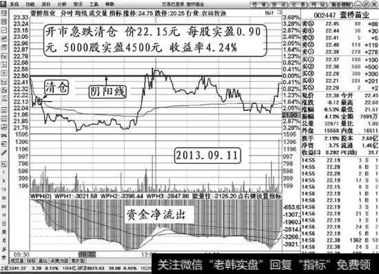 壹桥苗业（002447）清仓分时解说图