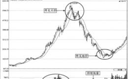 量能系统实战股谱解密