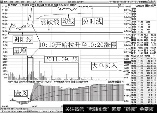 国兴地产（000838）大单买入涨停解说图