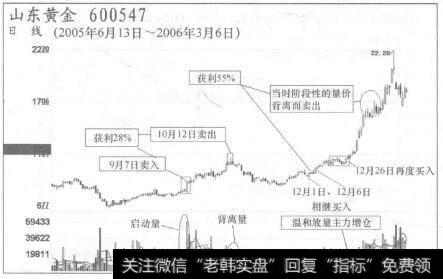 山东黄金(600547)走势图