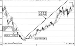 实战解密耐心建仓原则的应用