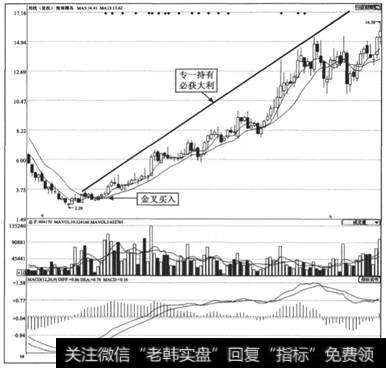 图2-19  <a href='/gushiyaowen/144130.html'>海南椰岛</a>(600238)2008-2009年周K线走势图