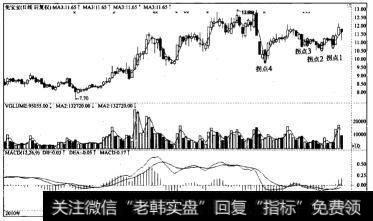 流浪性拐点—兔宝宝