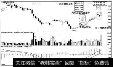 清洗期资金量净流入—大元股份