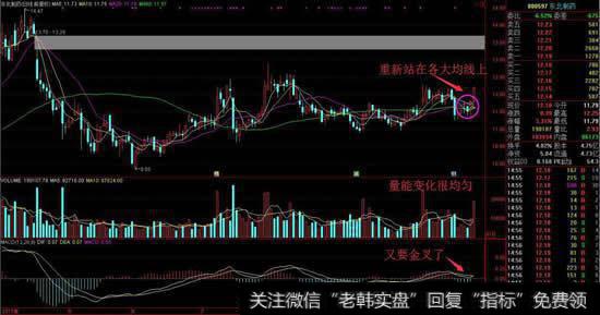 维生素C龙头净利增12倍，为啥股价还在底部趴着？