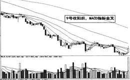 金岭矿业资金流主力大盘破位的解述分析