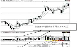 第32招：量的均线突破
