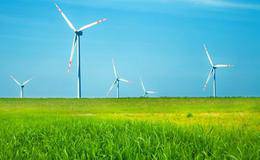 种子生产板块受推动,农林牧渔概念股受关注!