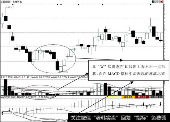 日线MACD中的W底形态