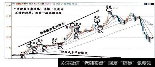 牛市只炒一支股二
