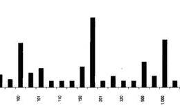 对股市增长的迷失的分析