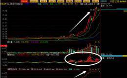 板块实战与个股实战有什么关系