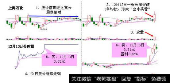 出水芙蓉案例