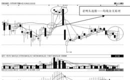 第70招　选股公式（三）——老鸭头