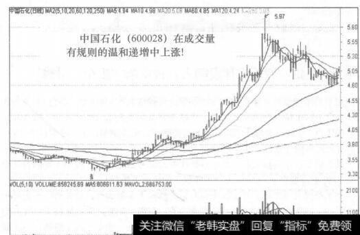 图80-3中国石化在成交量温和递增中上涨