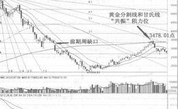 提前18天准确预测2009年的大顶秘诀分析